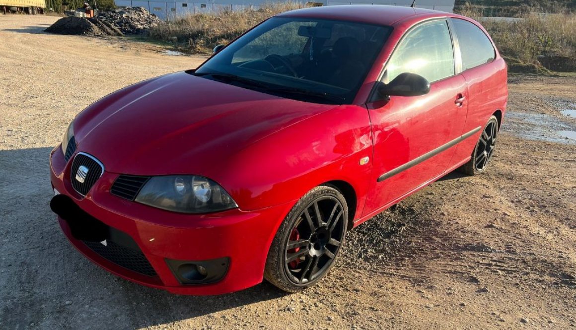 Seat Ibiza Cupra tdi 160 (2005)